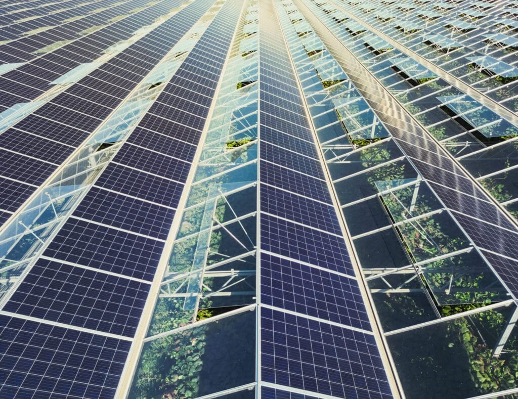 Greenhouse,For,Growing,Vegetables,With,Mounted,Photovoltaic,Panels